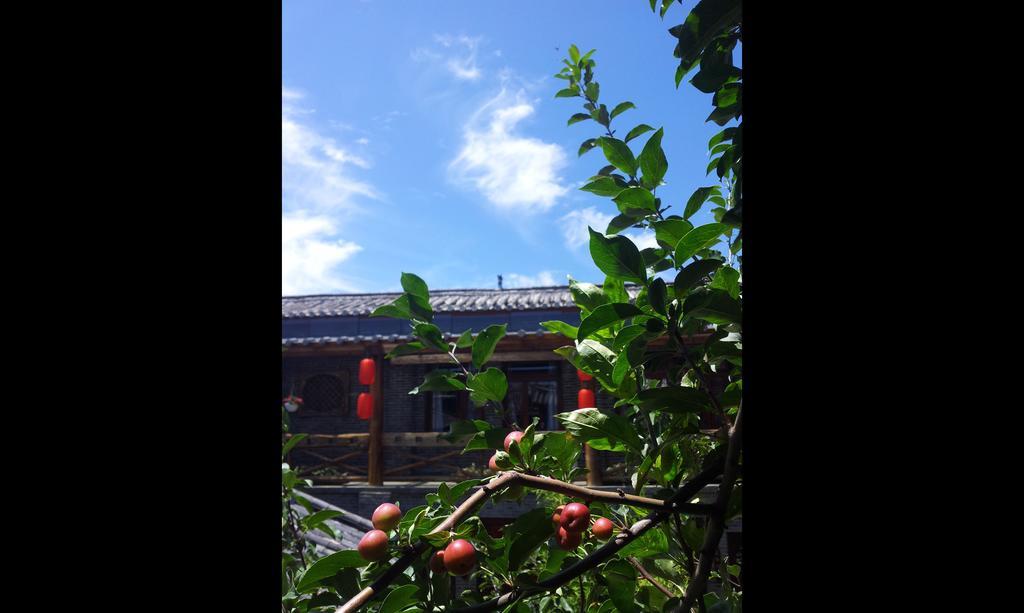 Lazy Tiger Inn Lijiang  Exterior photo