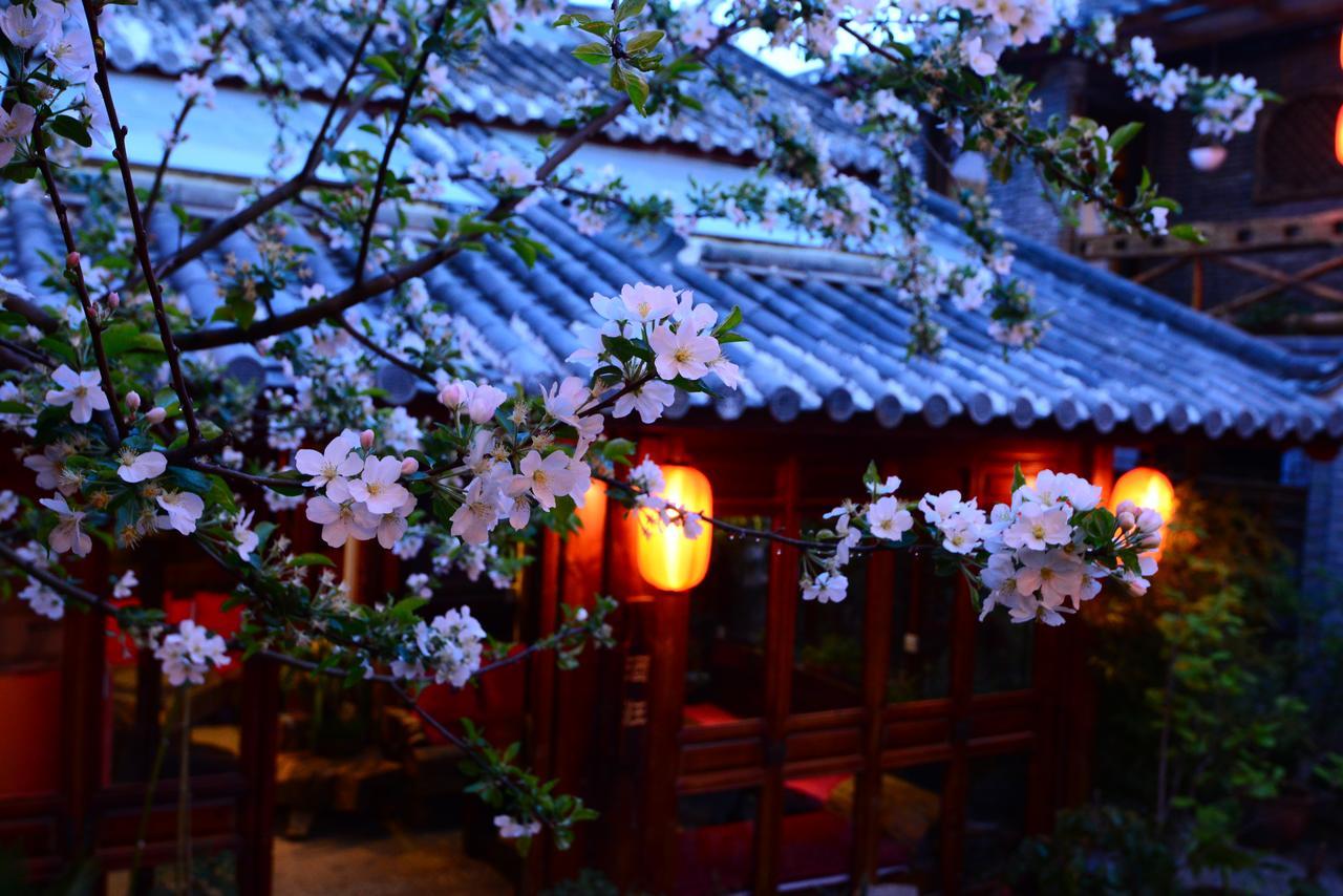 Lazy Tiger Inn Lijiang  Exterior photo